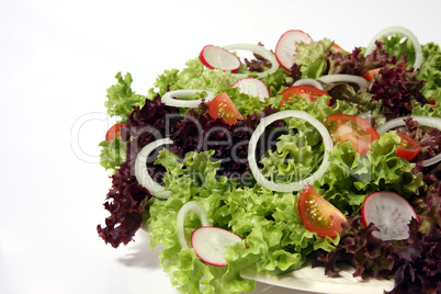 Bunter Salatteller