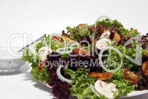 Gemischter Salat mit Putenbruststreifen