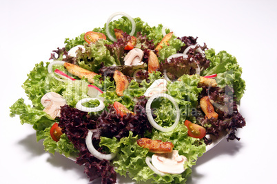 Frischer Salat