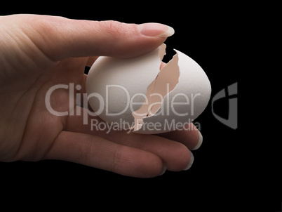 Hand holding egg shell