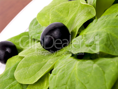 Spinich Salad