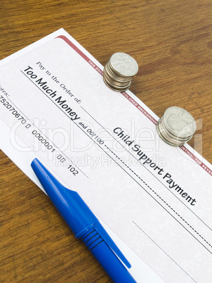Child Support Payment Check