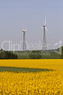 Rapsfeld mit Windkraftanlagen in Allendorf