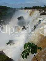 Iguacu Wasserfälle Arg22