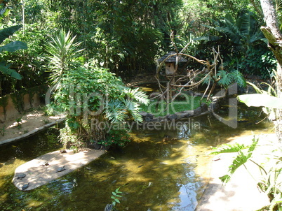 Vogelpark Brasilien Teich 02