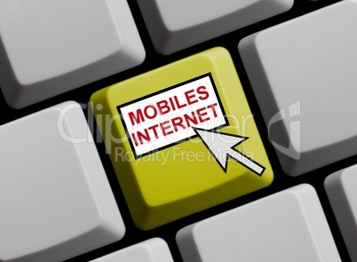 Mobiles Internet