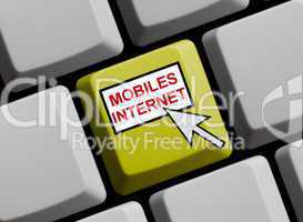 Mobiles Internet