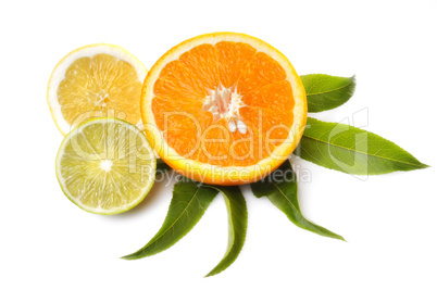 Citrusfrüchte angeschnitten