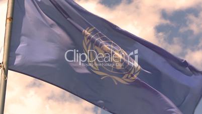 UN flag