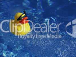 rubber duck