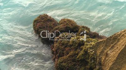 Cuba beach water on rocks moss