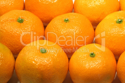 Mandarinen - tangerines