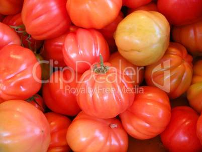 Frsiche Tomaten