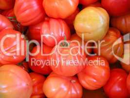 Frsiche Tomaten