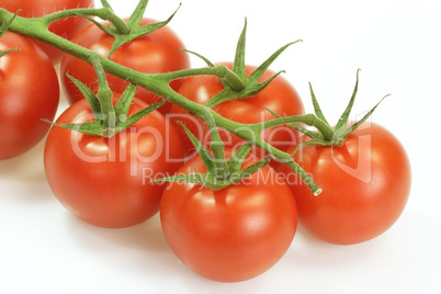 Tomaten