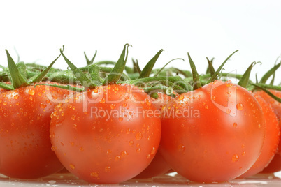 Tomaten