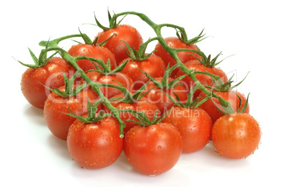 Tomaten