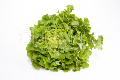 Kopfsalat