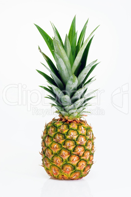 Ananas