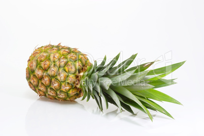 Liegende Ananas