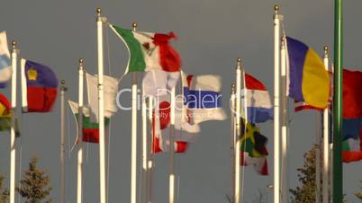 many flags