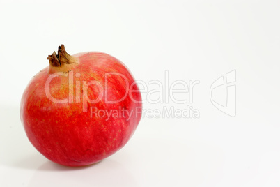 Granatapfel