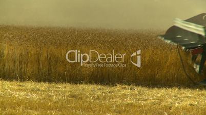 combine harvest wheat field