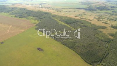 aerial forests pastures