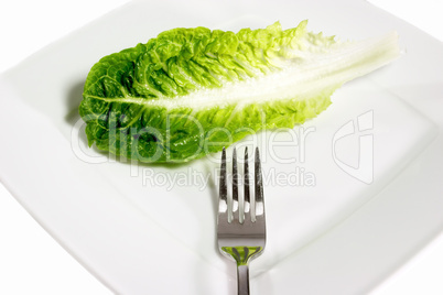 Salatblatt