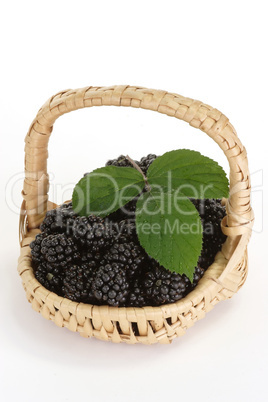 Brombeeren