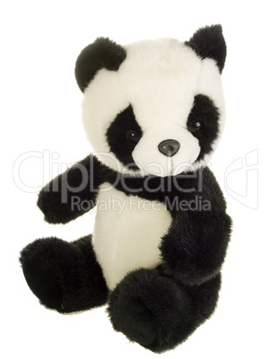 Mein Pandabär