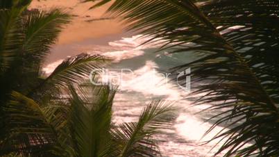 San Juan beach surf palms