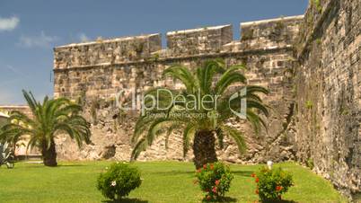 Bermuda old fort palms