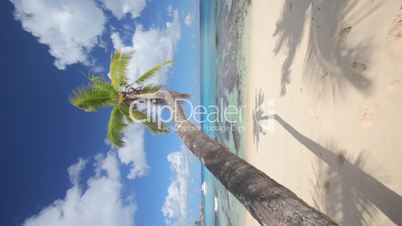 perfect beach vertical with boat