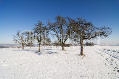 Winterlandschaft