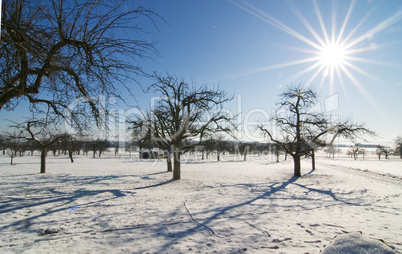 Winterlandschaft