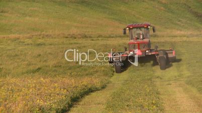 tractor harvesting timothy hay