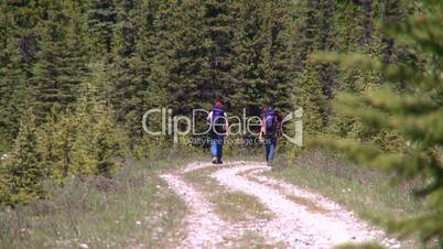 hikers on trail