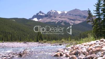 mountain stream and snowy Mtn