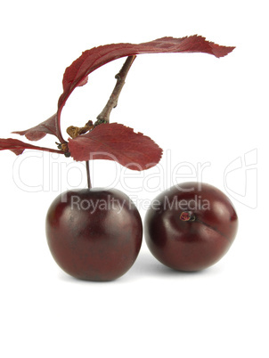 Two red Cherries