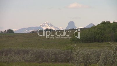 mtns and pasture