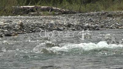 elbow river rapids