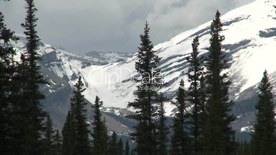 snow peak and forest