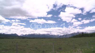 rocky Mtns and pasture