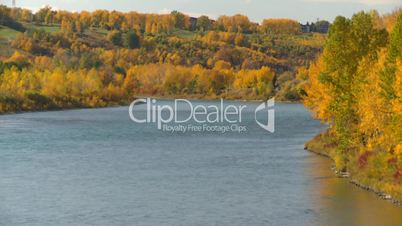 Bow River autumn trees