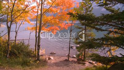lakeshore autumn colors