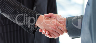 Business people shaking hands