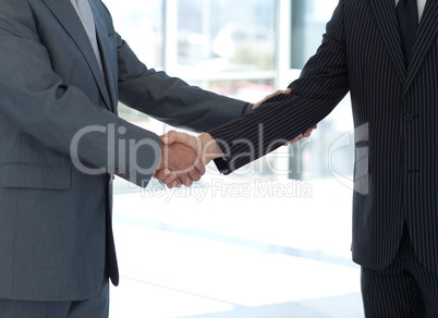 Handshake in agreement