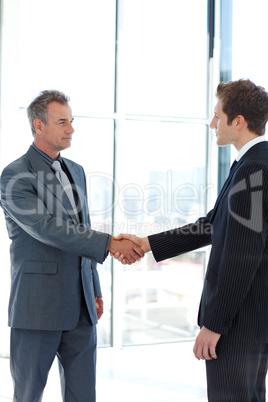 shaking hands in agreement