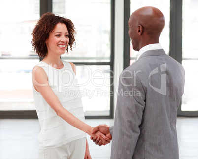 Business people shaking hands